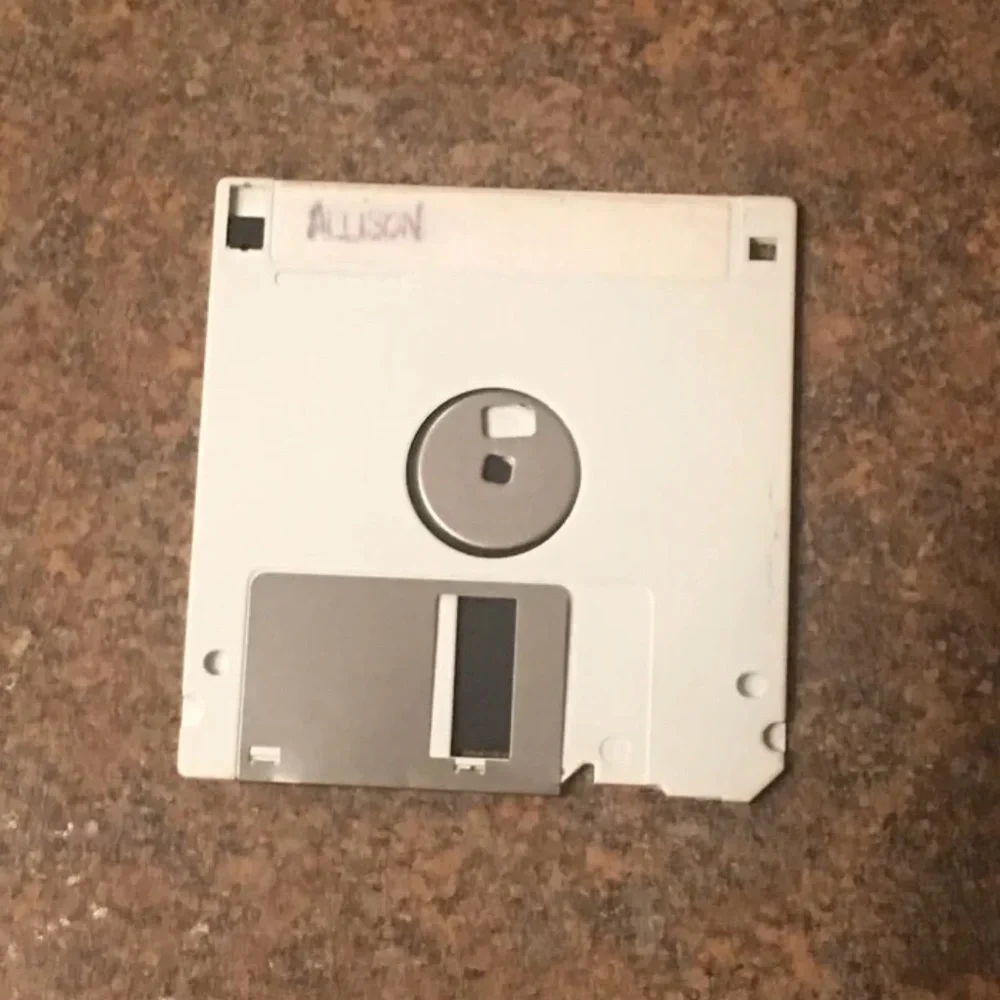 Vintage Looney Tunes Sylvester the Cat Floppy Disk - Picture 2 of 2